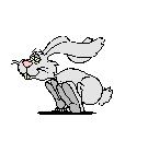 Ou va le lapin ?